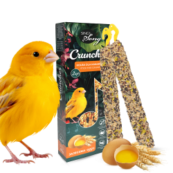 BATOANE CANARI OU & SEMINTE 2 BUC